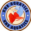 KN8 Aquatics