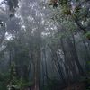 blurrul