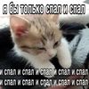 vqsilkxq