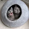 sarahsunny771