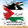 amrkhaled6233