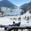 dannncokk_060204