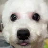 miiiiiiichans.milk