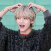 _only_bts_fan_