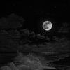 abdullah_21_11