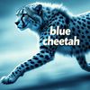 cheetah_blue