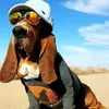 santomontanoo