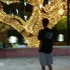 7renanqz