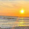 sofia_loureiro_