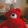 _pu._.ssy_.cat._