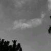 zzxx0990