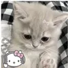 nnnicolee6