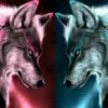 team.lobos8