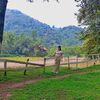 nere_007