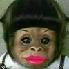 monkey.baboon2