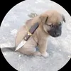 beobikhungg