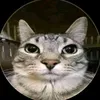 nelson.amador123
