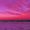 anthony_7163