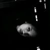 milkteaa_nlaa1