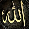 titz_darbaz5