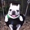 miktheking24