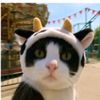 myat.hein39