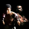 brotherlywarriors