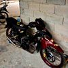 andre.bayu55