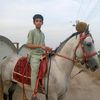 gaji.gujjar
