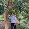 auto.garden6