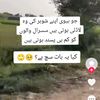 alrfan77