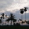 marhamahazzahrana
