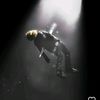 ashik_69zx