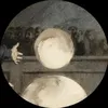 user.sananeolm