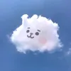 mcrnice_