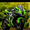 rifat81031
