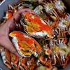 VỰA CUA CÀ MAU 🦀