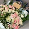 monsh34