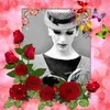 miacoll24