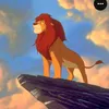 simba_12.2023