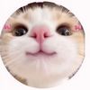 clarissa.1318