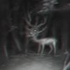 cannibal_carnival13