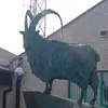 voldermortontop