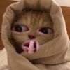 is_tianaaa