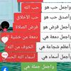 user7271827675016