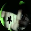 dan_shes