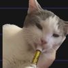 eggos_d