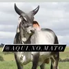 Aqui no mato