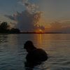 swimholicc