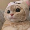julianlesmana93